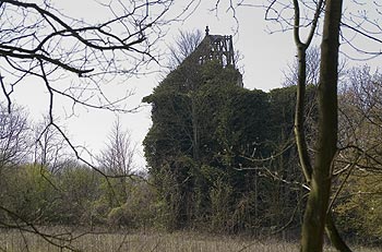 Ruines couvertes de lierre du château de Rohan à Coupvray - © Norbert Pousseur