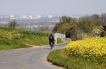 Rue descendant vers Coupvray avec vue sur la plaine de Meaux - © Norbert Pousseur