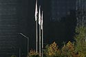 Drapeaux sur fond de bureaux - La Défense - © Norbert Pousseur