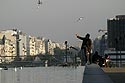 Jeu de mouettes sur le plan d'eau - La Défense - © Norbert Pousseur