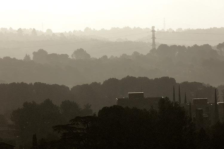 Lignes d'arbres aux alentours de Draguignan - © Norbert Pousseur