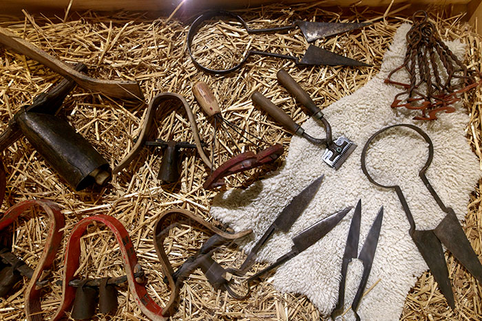 Outils de tonte des moutons au Musée des ATP de Draguignan © Norbert Pousseur