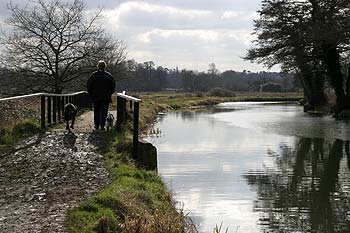 Promeneur avec chiens en bord de rivière anglaise Wey - © Norbert Pousseur