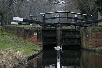 écluse désaffectée du canal de Woodham - © Norbert Pousseur