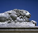 Lion étendu sur la terrasse du parc du château - Ferrières - © Norbert Pousseur