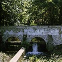 Le bief à la limite de l'étang de la Taffarette - Ferrières - © Norbert Pousseur