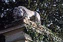 Lion à l'entrée condamnée du château de  Ferrières - © Norbert Pousseur