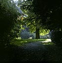 Chemin de promenade dans le parc du château - Ferrières - © Norbert Pousseur