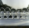 Rangée de verres à vin pour un coktail en soirée dans le parc - Ferrières - © Norbert Pousseur