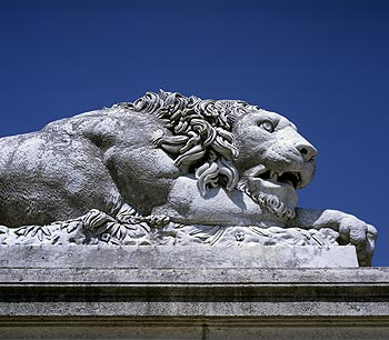 Lion étendu sur la terrasse du parc du château - Ferrières - © Norbert Pousseur