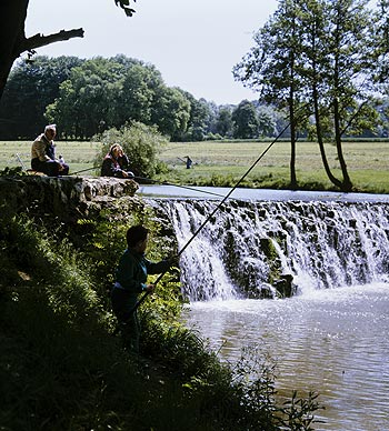 La petite cascade de l'étang de la Taffarette - Ferrières - © Norbert Pousseur