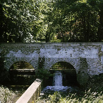 Le bief à la limite de l'étang de la Taffarette - Ferrières - © Norbert Pousseur