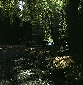 Promeneurs dans les allées boisées du parc - Ferrières - © Norbert Pousseur