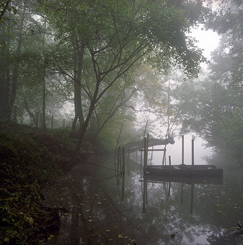 Rive de la Marne de Torcy - © Norbert Pousseur