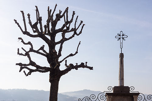 Arbre sans feuille et croix, le Puy en Velay - © Norbert Pousseur