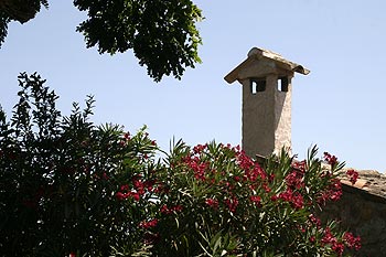 Fleurs et cheminée aux Arcs sur Argens - © Norbert Pousseur