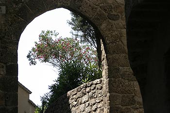 Voûte de ruelle aux Arcs sur Argens - © Norbert Pousseur