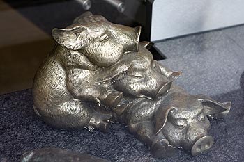 Groupe de cochonnets dans vitrine de boucher - Lucerne en Suisse - © Norbert Pousseur