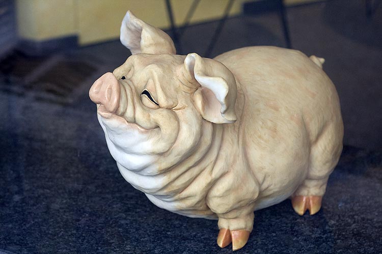A Lucerne, cochon rieur de vitrine de boucher - © Norbert Pousseur