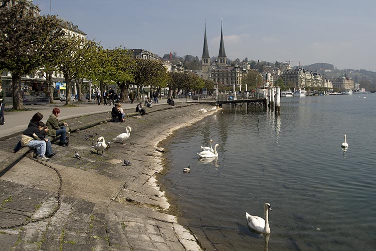 Promenade des bords du lac à Lucerne - © Norbert Pousseur