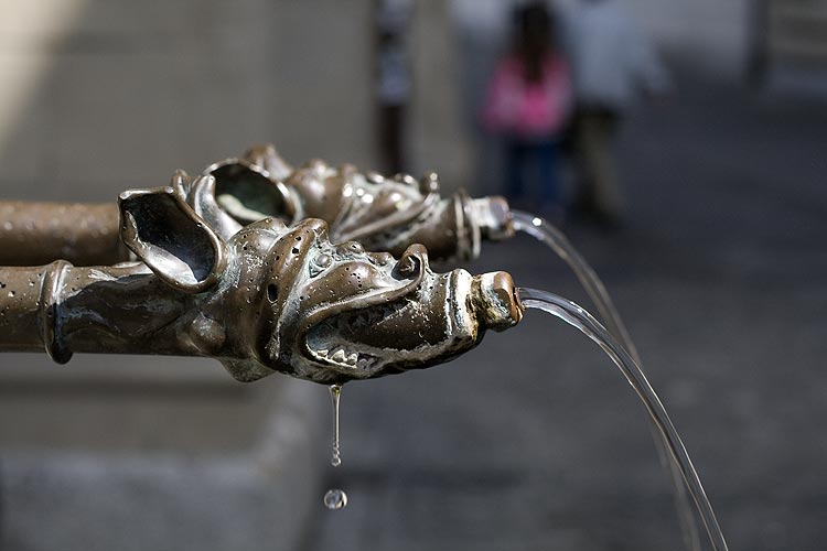 A Lucerne, becs de fontaine tête danimal aux grandes oreilles - © Norbert Pousseur