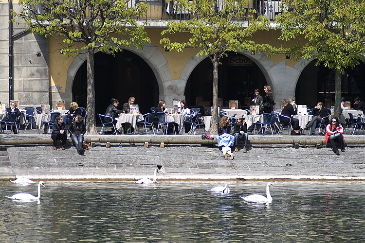 A Lucerne, déjeuners au bord de la Reuss  - © Norbert Pousseur