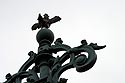 Coq du pont de l'université- Lyon- © Norbert Pousseur