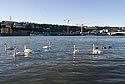 Rhône à la hauteur des quais de Perrache - Lyon- © Norbert Pousseur