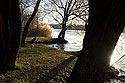 Berges arborées du Rhône, près du pont Pasteur - Lyon- © Norbert Pousseur