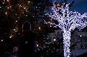 Guirlandes pour un arbre en frimas - Lyon - © Norbert Pousseur