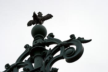 Coq du pont de l'université - Lyon- © Norbert Pousseur