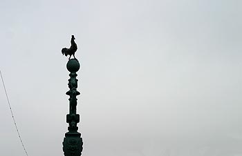 Coq sur le pont de l'Université - Lyon- © Norbert Pousseur