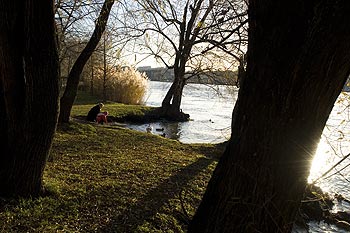 Berges arborées du Rhône, près du pont Pasteur - Lyon- © Norbert Pousseur