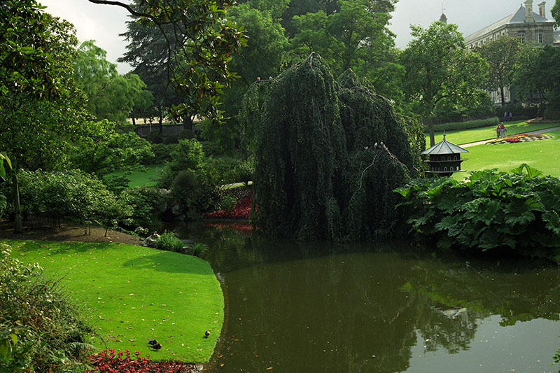 Jardin des plantes de Nantes -  © Norbert Pousseur