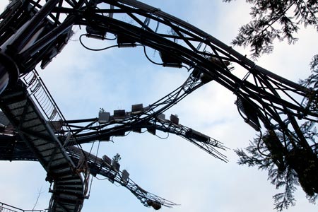 Les branches de l'arbre aux hérons - Nantes - © Norbert Pousseur