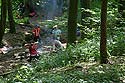 © Norbert Pousseur - Paysages d'Argovie - Suisse - sous-bois jeux enfants