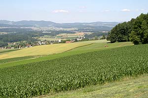 © Norbert Pousseur - Paysages d'Argovie - Suisse - paysage d'été