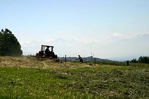 © Norbert Pousseur - Paysages d'Argovie - Suisse - Moisson sur fond alpin