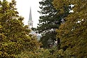 Le clocher à travers les arbres - Rebecq en Belgique - © Norbert Pousseur