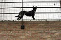 Silhouette de chien aboyant - Rebecq en Belgique - © Norbert Pousseur