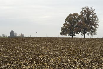 Terre retournée pour l'hiver - Rebecq en Belgique - © Norbert Pousseur