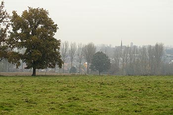 Champ en jachère - Rebecq en Belgique - © Norbert Pousseur