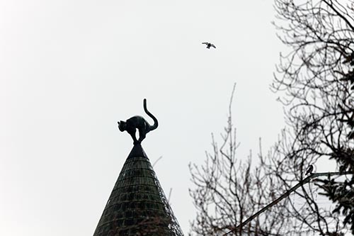 Le chat sur son toit - Riga - © Norbert Pousseur Le chat sur son toit - Riga - © Norbert Pousseur