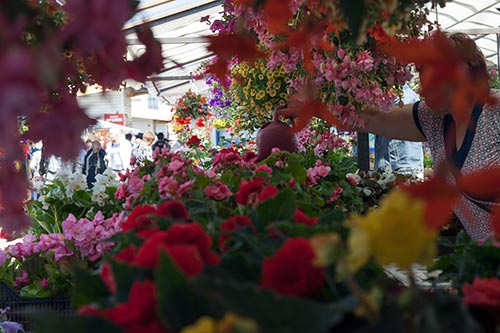 Marchande de fleurs - Riga - © Norbert Pousseur