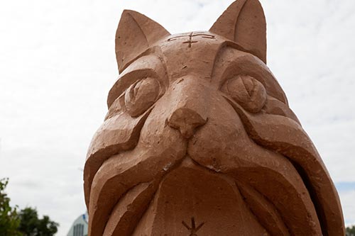 Chat de sable - Riga - © Norbert Pousseur Chat de sable - Riga - © Norbert Pousseur