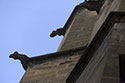 Quelques gargouilles - Sarlat - © Norbert Pousseur