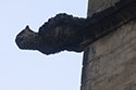 Dragon gargouille - Sarlat - © Norbert Pousseur