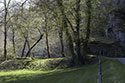 Au bord du cours d'eau à la Roque St Christophe - Sarlat - © Norbert Pousseur