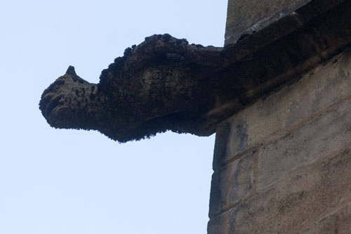 Dragon gargouille - Sarlat - © Norbert Pousseur