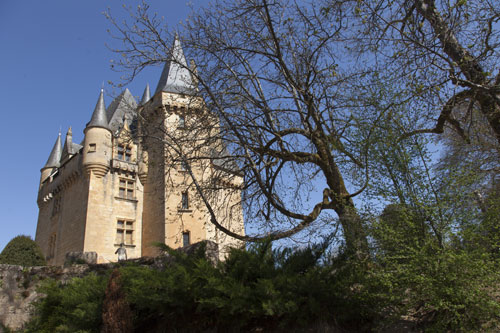 Château à Saint Léon sur Vézère - Sarlat - © Norbert Pousseur